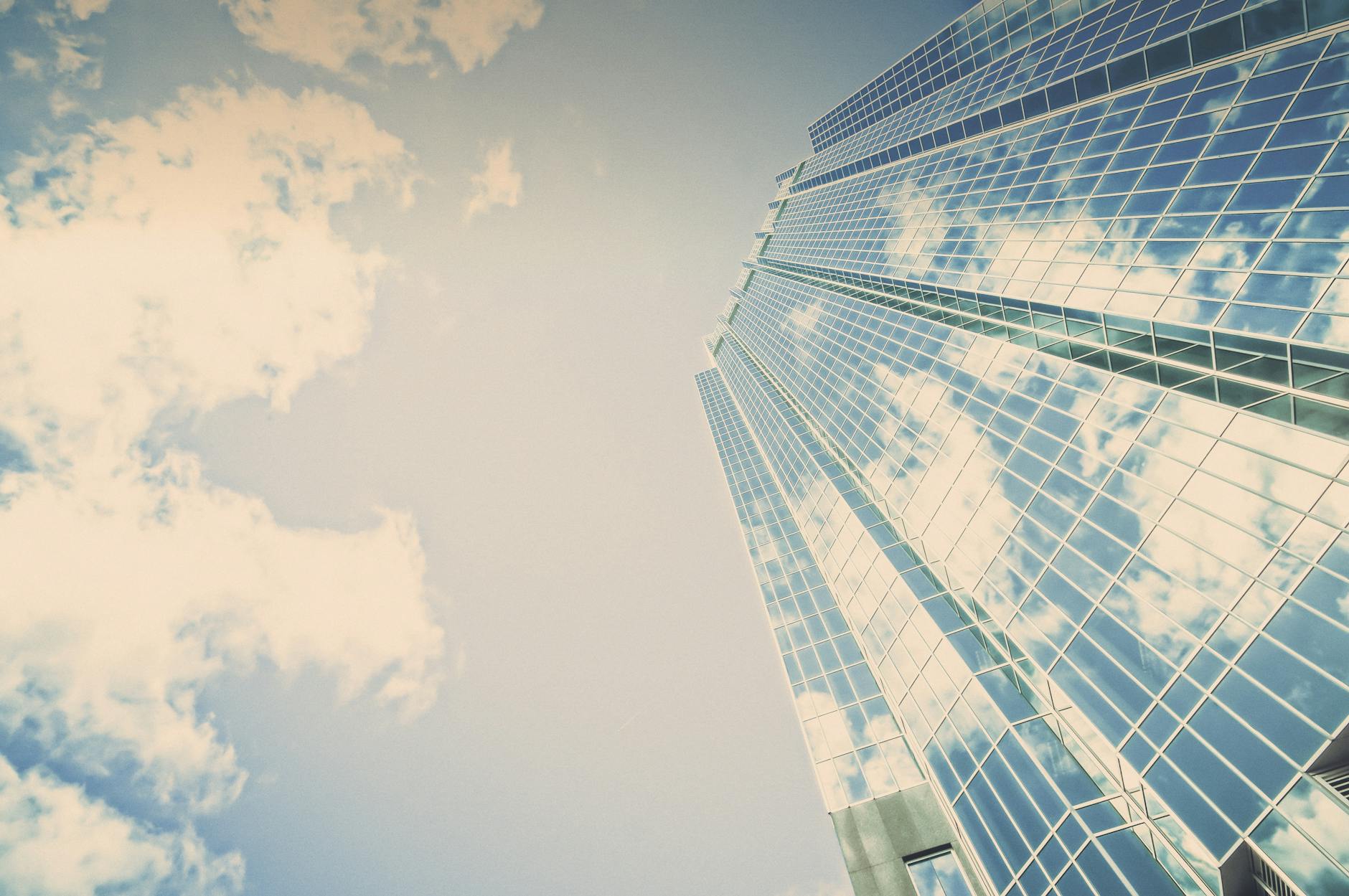 Il faut organiser sa croissance et élever ses ambitions quand on structure son entreprise