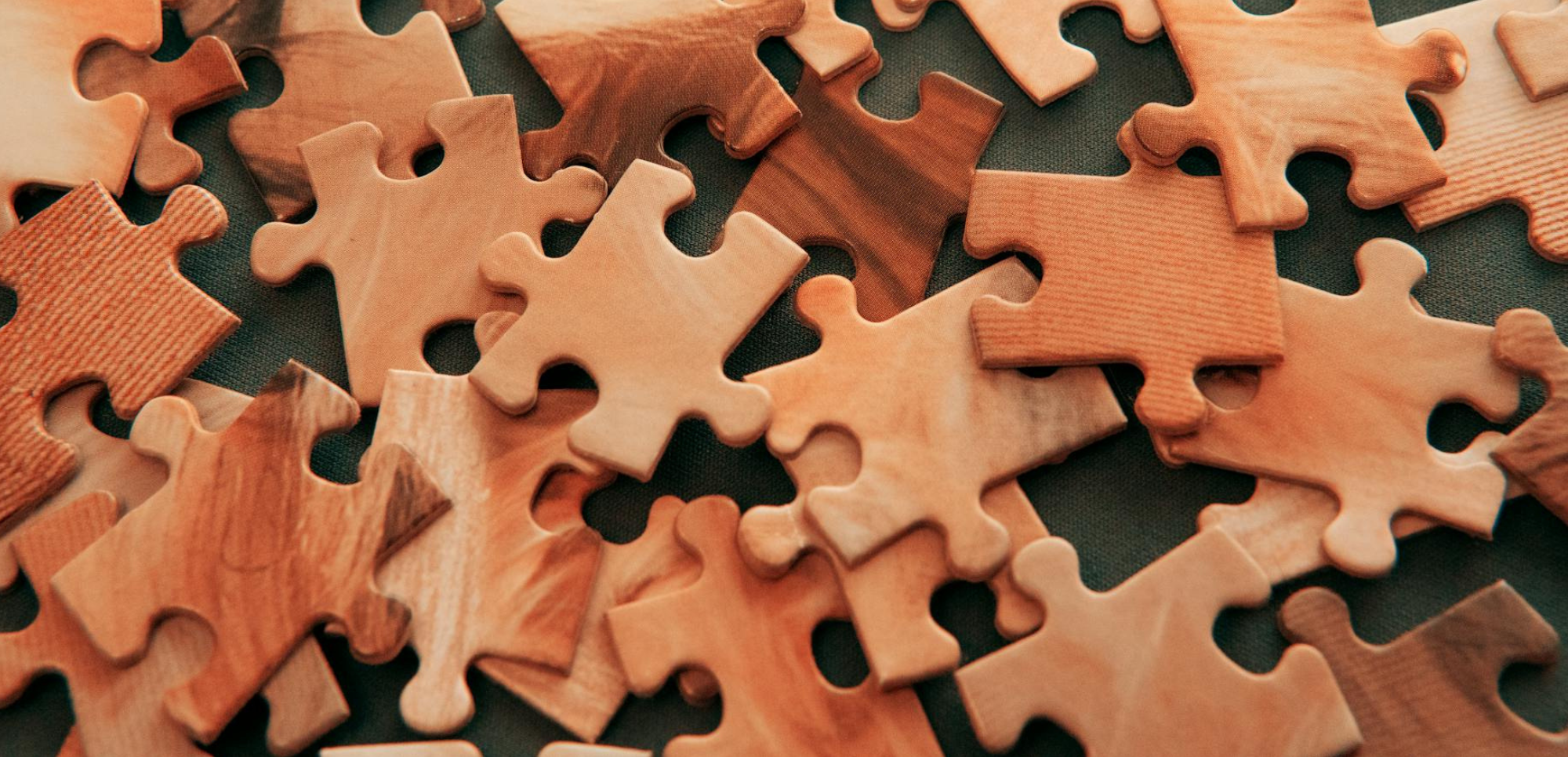 des pièces de puzzle que Co-opt vous aide à assembler pour solidifier votre entreprise